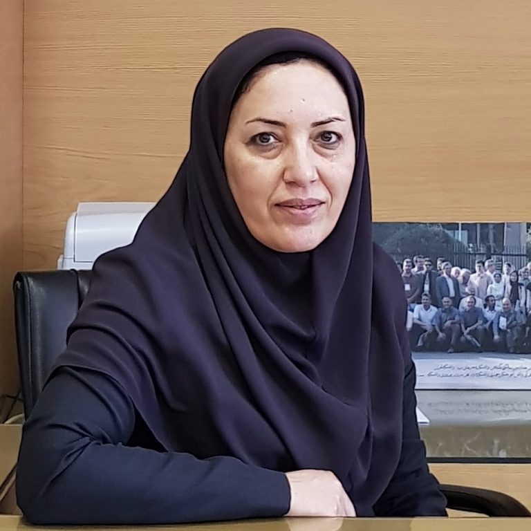 تقی زاده 2 768x768