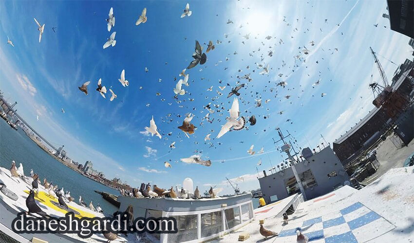 تور مجازی تجربه ای شگفت انگیز