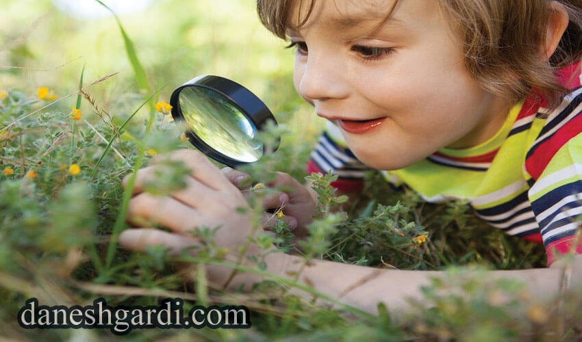 یادگیری در طبیعت مناسب چه افرادی است ؟